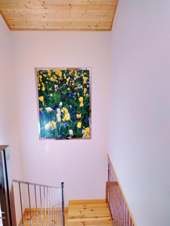 Casas Rurales En Fanlo Y Valle Vio Zewnętrze zdjęcie